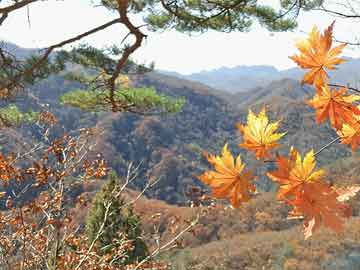 专家：新冠病毒流行高峰无明显季节性特征，与人群抗体水平有关